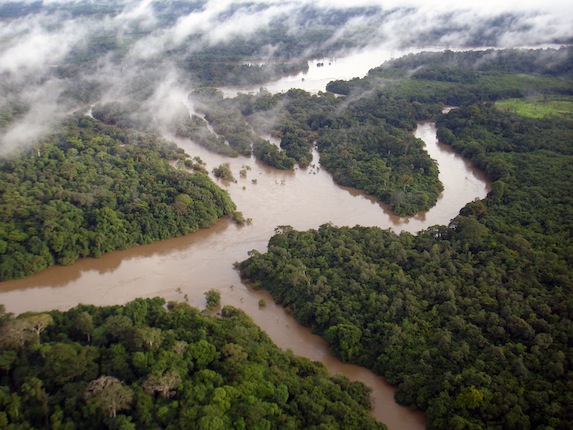 塞拉利昂原始雨林 